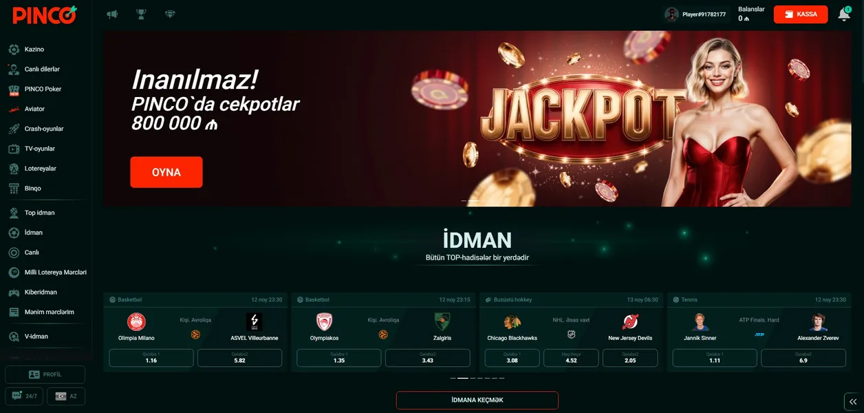 Texniki Dəstək və İstifadəçi Rəyləri